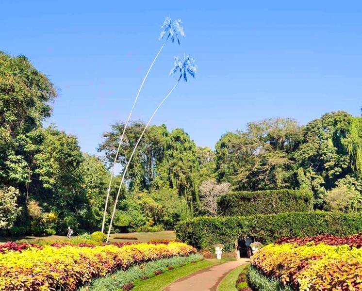 Peradeniya Botanical Garden